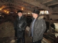 Вопрос зимовки скота находится на контроле главы администрации Лопатинского района