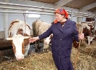 На развитие семейных животноводческих ферм Пензенской области направят 14,5 млн рублей средств федерального бюджета