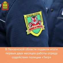 В Пензенской области подвели итоги первых двух месяцев работы отряда содействия полиции "Тигр"