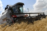 В Пензенской области индекс роста производства сельскохозяйственной продукции за первое полугодие составил 106,3%