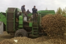 В Пензенской области начался конкурсный отбор сельскохозяйственных потребительских кооперативов на получение грантовой поддержки